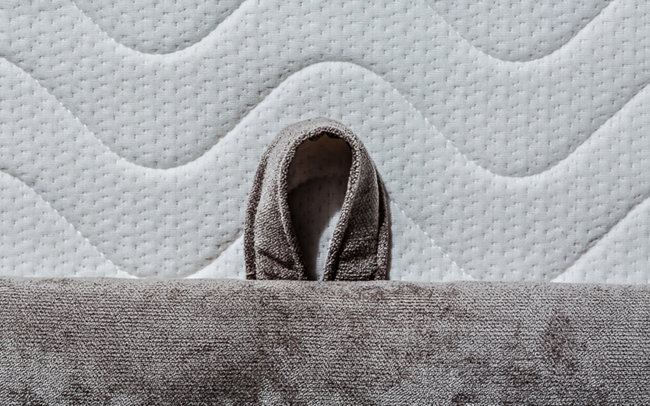 ProSon Classic Large фото 14